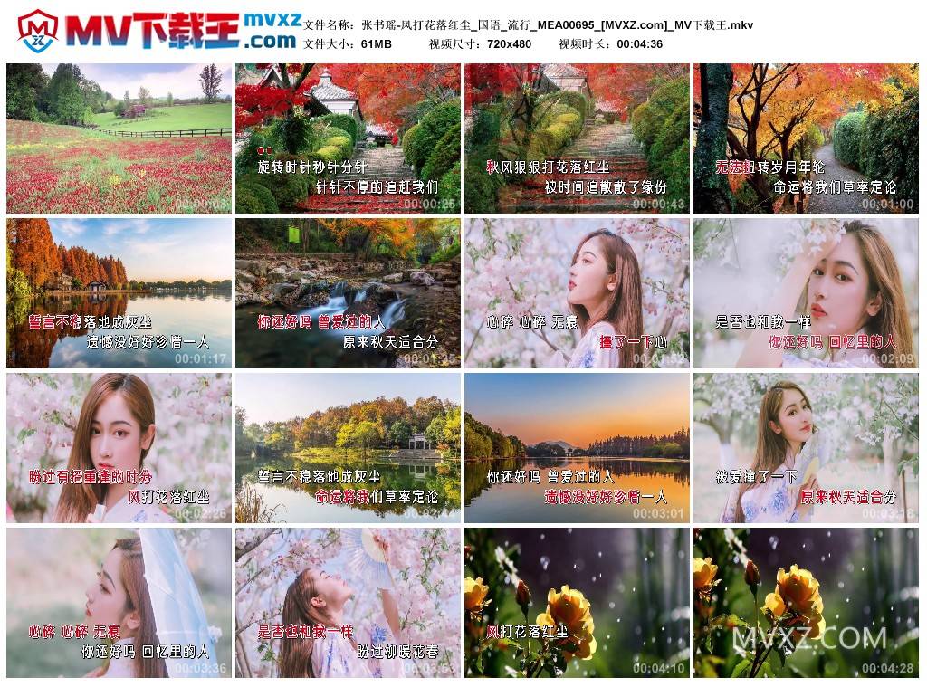 张书瑶-风打花落红尘_国语_流行_MEA00695